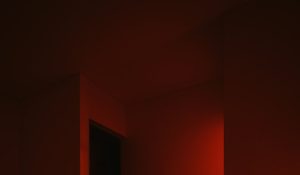 telecamera infrarossi